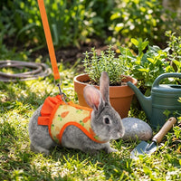 Pet Harness and Leash Set, Printed Polyester Walking Vest and Bunny Harness, Adjustable Vest for Small Pets, Comfortable Fit Outdoor Walking Use