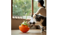 Cat Toy with Spring Wand Indoor Cat Teaser Long-Lasting for Kittens