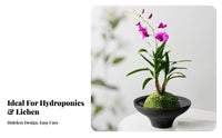 No-Hole Planter Pot Vintage Design Ceramic Soilless Bowl High-Temperature Fired Lichen Micro-Landscape Dish for Home Stylists, Living Room, Bookshelf