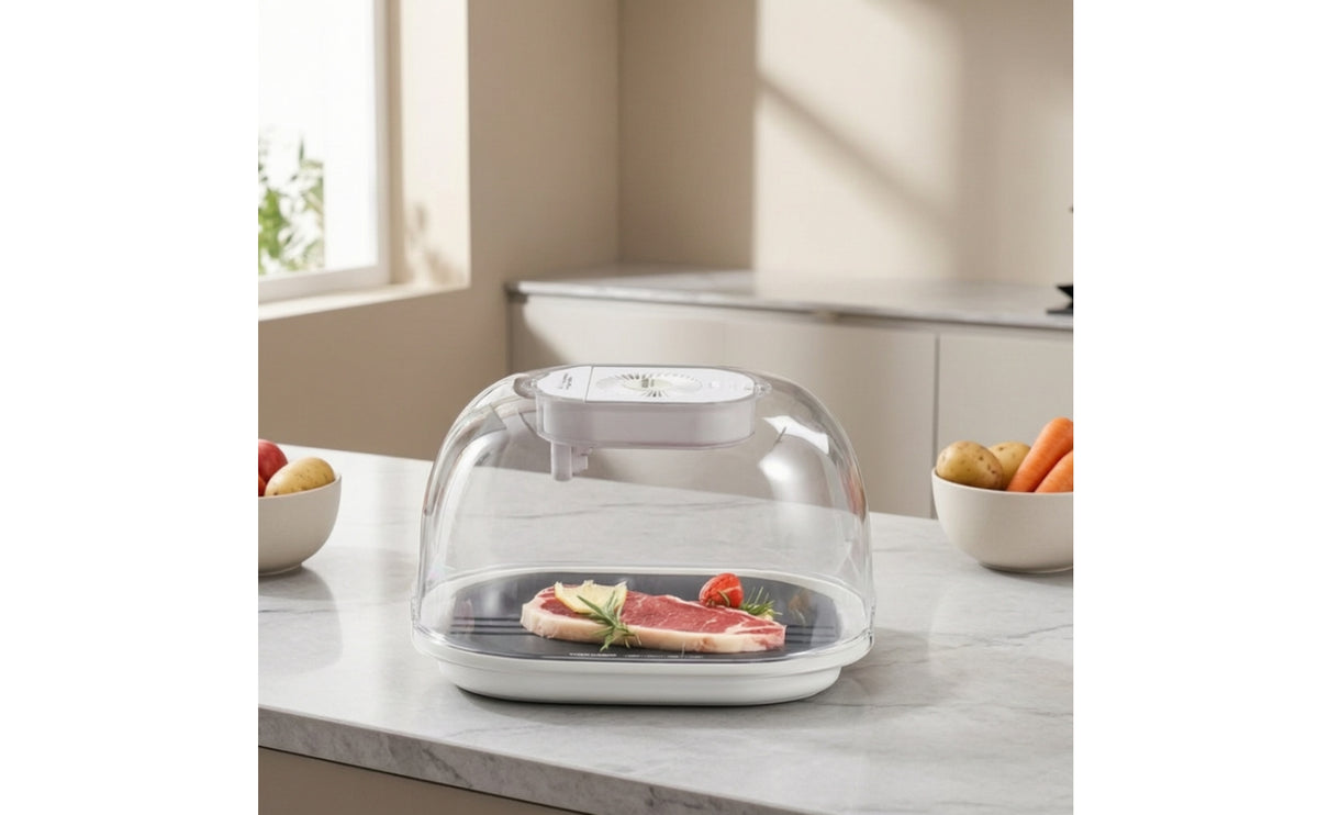Fast Defrosting Box with Tray Secure Thawing Machine with Fan Portable Rapid Thawing Plate with Cover Natural for Busy Families