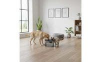 Automatic Pet Water Dispenser Large Capacity Electric Cat and Dog Water Bowl Layered Filtration Circulating Pet Waterer for Dogs, Cats