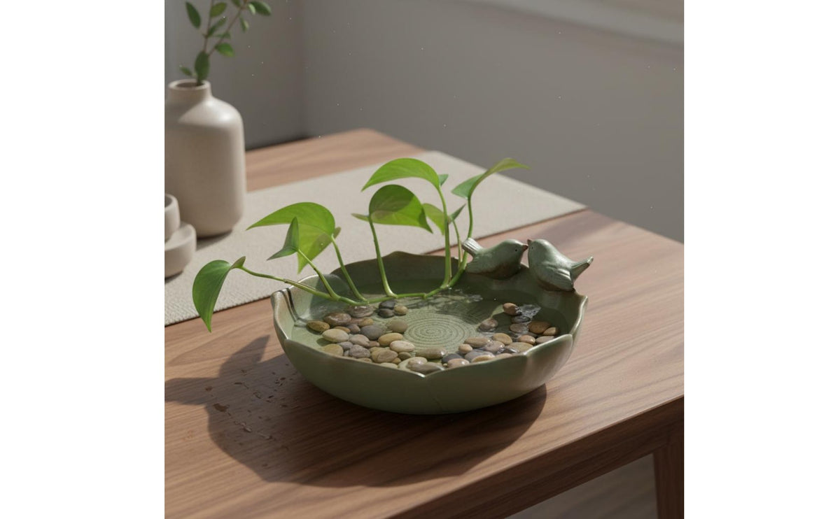 Holeless Plant Bowl Water-Culture Indoor Water Plant Pot Shallow Ceramic Bowl