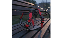 Reflective Dog Vest Harness Lightweight 2-in-1 Dog Harness Leash Get Loose-Resistant for Outdoor