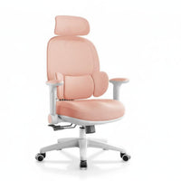 Support Ergonomic Desk Seat Compact Size Swivel Chair Rolling Casters Office Furniture Adjustable Armrests for Telecommuting Workers, Students, Adults, Small Living Areas, Study Room