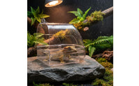 Easy to Clean Transparent Amphibian Soaking Container Thickened PC Material Anti Escape Lizard Tub Safe and Non
