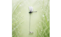 5 Pieces Chemicalsafe Realistic Dragonfly Clip Vibrant Colors Fake Dragonfly Clip Lightweight Decor