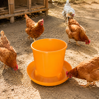 poultry feeder
