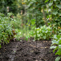 Black Iron Trellis for Garden Borders, Rust-Resistant Plant Support for Climbing Plants, Modern Decorative Metal Trellis