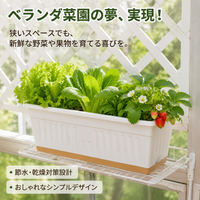 Planter, Flower Pot, Large, Raised Bed, Deep Type, 49×20.5×18cm, Large Capacity, Balcony Garden, Home Vegetable Garden, For Vegetable Cultivation
