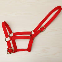 Double Ply Horse Headcollar Additional Thick Horse Leading Halter Equestrian Supplies Reinforced Long-Lasting for Training