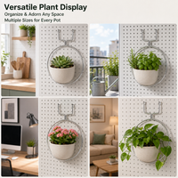 Wall Mount Plant Pot Holder, Circular Plant Pot Bracket Outdoor, Stainless Steel Wall Planter for Garden Fences, Heavy Duty Pot Hanger
