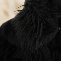 Cocker Spaniel Dog Stuffed Toy Lifelike Cocker Spaniel Stuffed Animal Stuffed Dog Toy Intricate Details Collectible