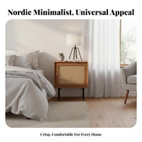 Nordic Aesthetic Rattan Door Nightstand Minimalist Design Rattan Door Cabinet Woven Accent Bedside Table Compact Size for Decor Enthusiasts, Homeowners, Renters, Bedroom, Living Room, Small Areas, Entryway