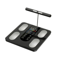 Body Composition Scale with Handle High-Accuracy for Home Gym