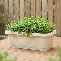 Deep Planter, Plastic, Set of 2, Transparent, Rectangular, Stylish, For Home Gardening, Balcony Gardening