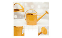 Metal Watering Can with Sprinkler Head Arched Handle Watering Can with Long Spout Stylish Vessel Modern for Gardeners