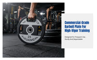PEV Barbell Weight Plate, Rubber Coated, Grip Hole, Gym, Home Fitness