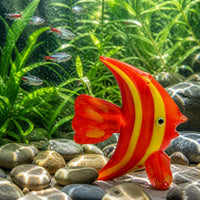 Handmade Glass Ocean Aquarium Cartoon Fish Shrimp Turtle Tank Decoration Micro Landscape Ornament