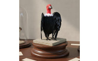 Figurine Educational Toy Realistic Bird Model Plumage Bird Statue for Halloween