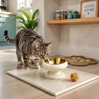 Stainless Steel Feline Feeder Anti-Tip Raised Feline Bowl Non-Slip