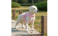 Harness and Leash Set Adjustable Chest Strap Breathable Dog Harness for Small Dogs, Young Dogs, Outdoor, Walking