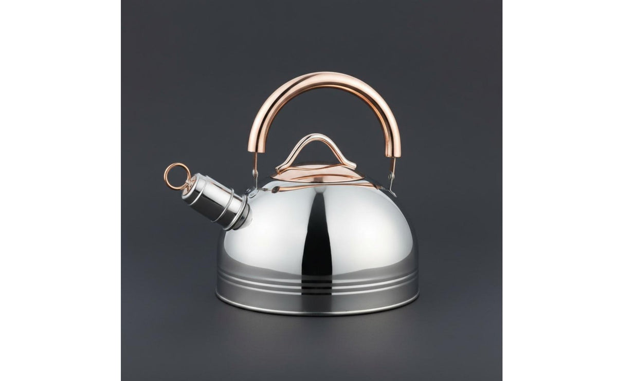 Stovetop Whistling Tea Kettle Induction Compatible Homeware Easy to Clean