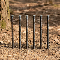 ground stakes