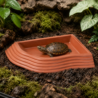Reptile Water Dish, Water Feeder, For Tortoises, For Terrariums, Plastic, Small, 18.5×14×2.5cm, Easy to Clean