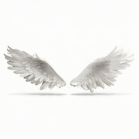 Angel Feathered Plumes Wall Decor Easy to Hang Wing Wall Modern Decor Angel Feathered Plumes Sculpture for Bedroom