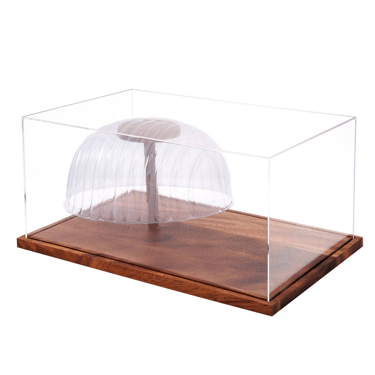 Baseball Cap Display Case Transparent Baseball Cap Display Box No Assembly Required for Collectors, Shelf