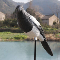 Waterproof Fake Magpie Plastic Realistic Magpie Model Lifelike Outdoor Bird Prop Weather-Resistant for Yard, Orchard