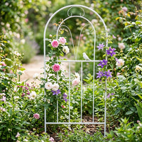 Large Metal Garden Trellis 120cm x 50cm, Sturdy Iron Plant Support for Climbing Plants, Outdoor Decorative Trellis for Roses & Vines