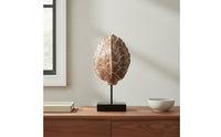 Retro Design Turtle Shell Sculpture Vintage Tortoise Shell Figurine Nature-Inspired Tortoise Miniature Textured Finish for Living Room, Entryway