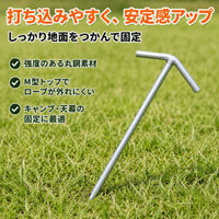 tent stake