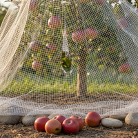 Orchard Bird Netting for Fruit Trees and Vegetables - Durable Nylon Protective Mesh
