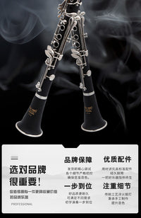 台湾阿贝尔单簧管黑管乐器初学者合成木儿童成人演奏考级专业学校