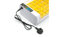 See-Through Electric Egg Incubator Corded Egg Incubator with Transparent Lid Temperature Control Compact for Hobbyists, Classroom