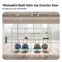 Metal Frame Exercise Equipment Storage Rack Large Capacity Exercise Ball and Mat Holder Stable Structure Commercial Gym Storage Unit Heavy Duty for Dance Studio