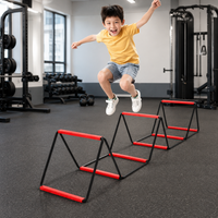 agility ladder