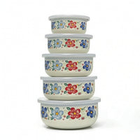 5 Pieces Glossy Enamel Bowls with Lids Easy to Clean Storage Bowl with Lid Reusable Nesting Bowl Set Stackable for Meal Prep