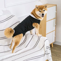 Post-Surgery Recovery Suit for Dogs, Pull-On Spay and Neuter Recovery Suit, No Leg Weaning Suit for Dogs, Abdominal Surgery Post-Operative Care