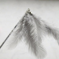 Interactive Cat Toy, Cat Teaser for Boredom, Feather Fishing Pole, Chew Resistant, Sound Feature, 2 Pieces