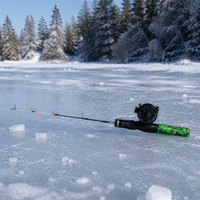 fishing rod
