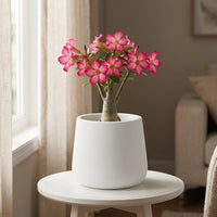 White PP Plant Pot, Breathable Planter for Indoor Plants, Simple Round Desktop Plant Pots