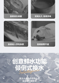 新款宠物倾倒式饮水机智能恒温净污分离自动换活水猫咪喝热水神器
