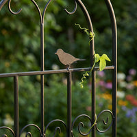Garden Metal Trellis for Climbing Plants, Roses, and Vines - Outdoor Plant Support Frame