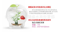 Mini Wall-Mounted Acrylic Fish Tank Creative Small Aquarium