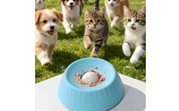 Slow Feeder Bowl Wide Slow Feeder Dog Bowl Interactive for Fast Eaters, Cats, Indoor, Outdoor