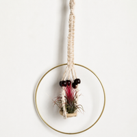 Handmade Macrame Plant Hanger, Boho Rope Hanging Planter for Indoor Plants, Home Decor Balcony Garden, Neutral-White Textile Fiber