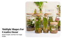 Desktop Miniature Garden Jar Versatile Use Micro Landscape Bottle Multiple Designs Available DIY Terrarium Vessel for Hobbyists, Desk, Living Room
